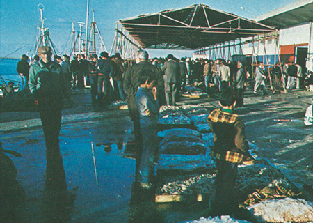 Pescatori